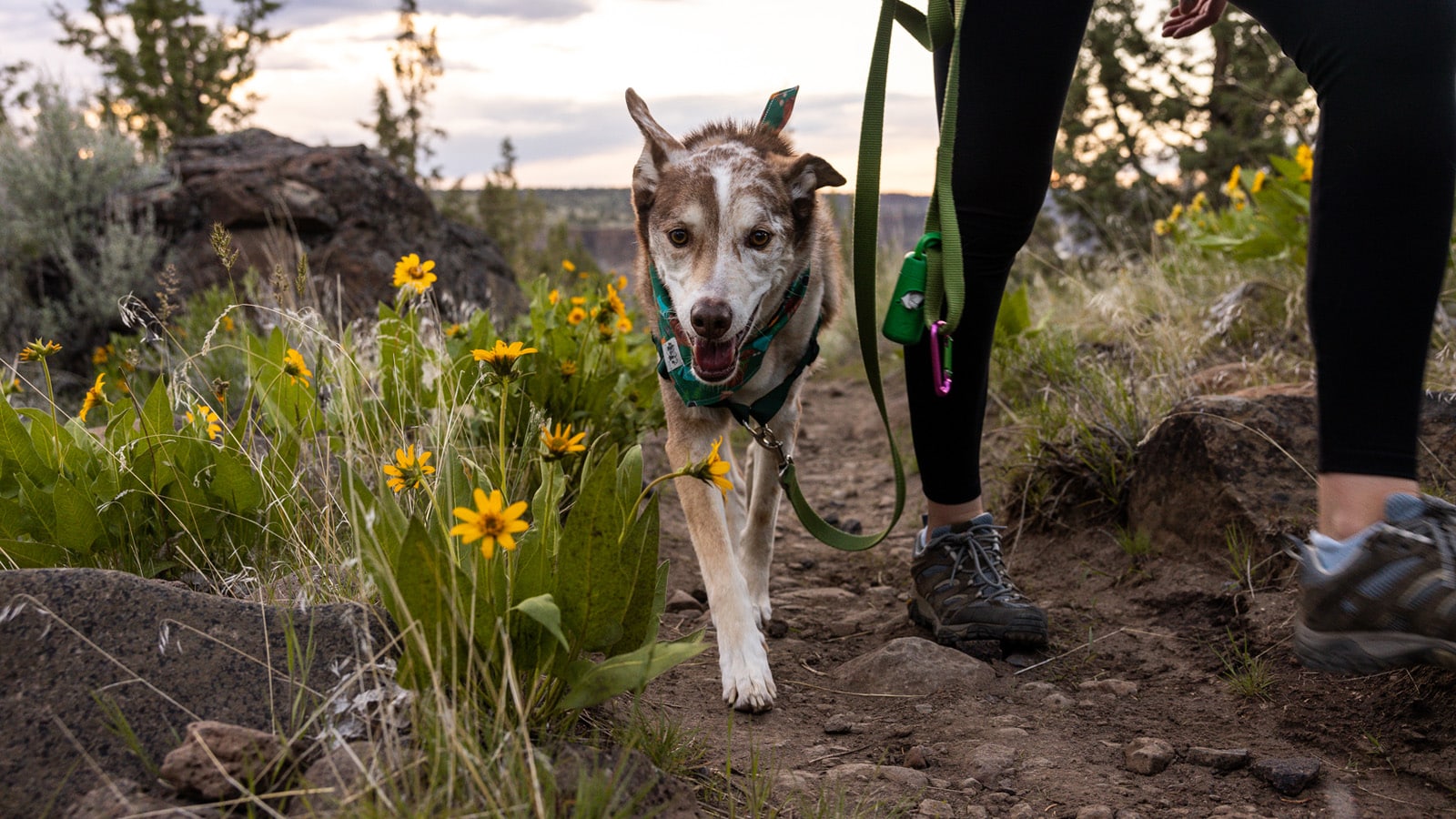 Leash dogs and stay on the trail to leave no trace in Bend, OR