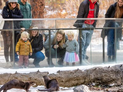visitors at otters_photo by Jason Quigley