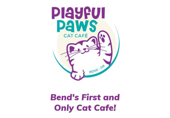 Playful Paws Cat Cafe in Bend, Oregon
