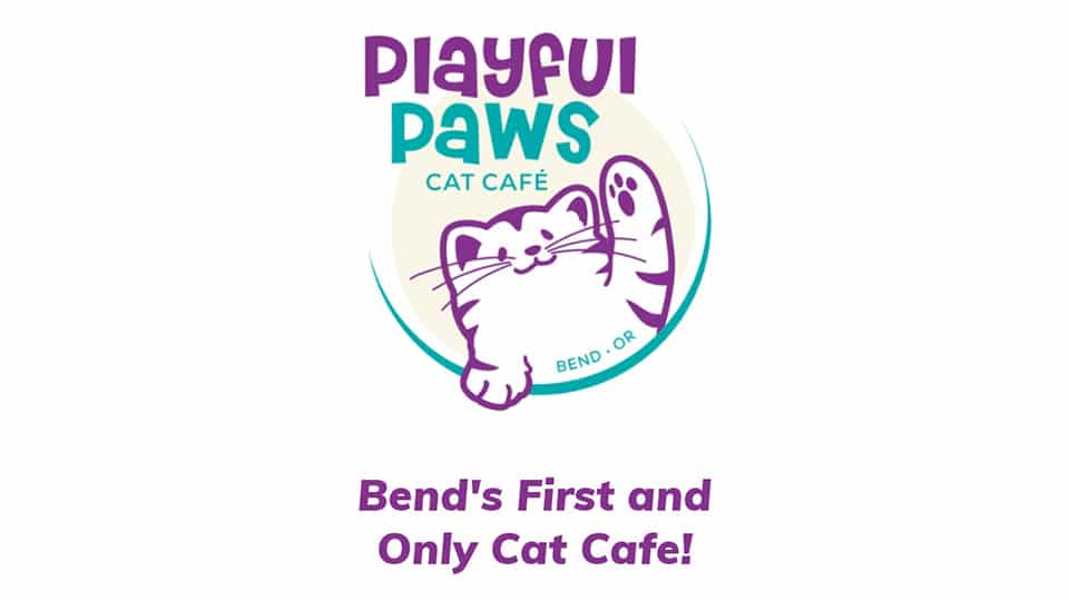Playful Paws Cat Cafe in Bend, Oregon